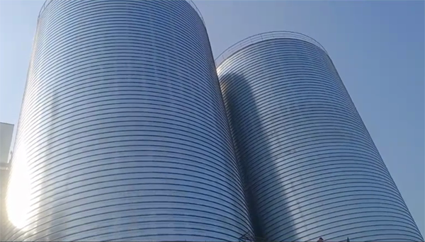 民勤2座混凝土高架卷板仓